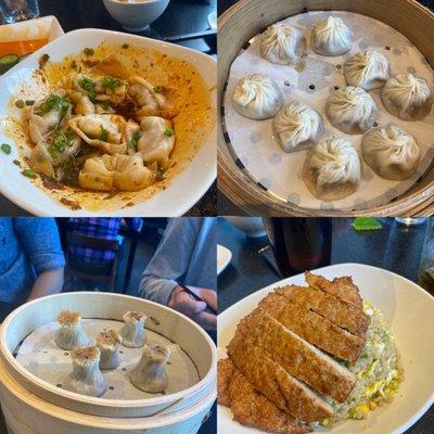 Wontons, soup dumplings, shumai and pork over fried rice