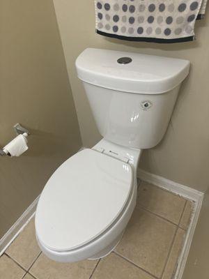 toilet replacement