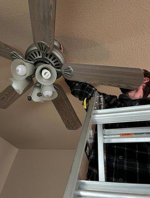 Fan assembly & installation