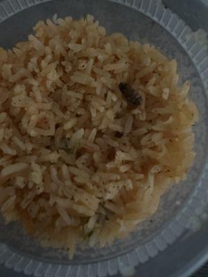 My rice had a roach in it