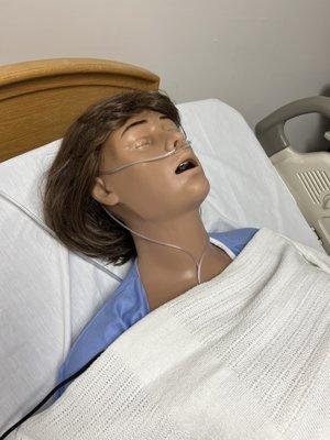 A manikin that has a no I has pulses in the extremities, heartbeat, all types of lung sounds, gives birth, talks to you, and way more