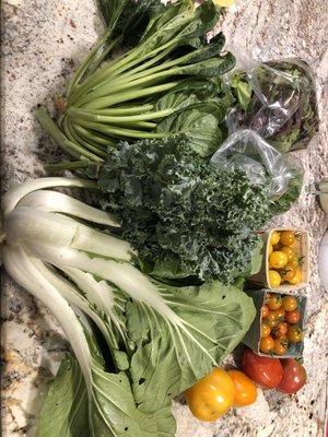 Weekly share of the summer CSA