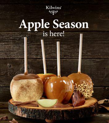 Caramel candy apples