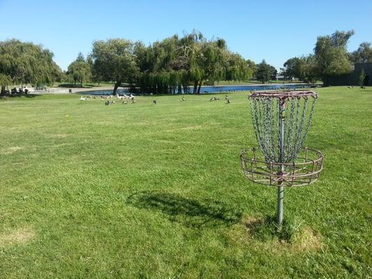 Lots of geese, turkeys, and POOP on 1/3 of the "course."