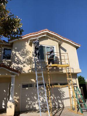 Termite repairs