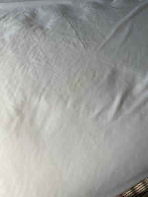 Stains on the bed