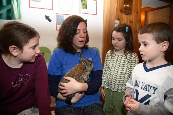 Learn about animals native to the Hudson Highlands. photo by George Potanovic, jr.