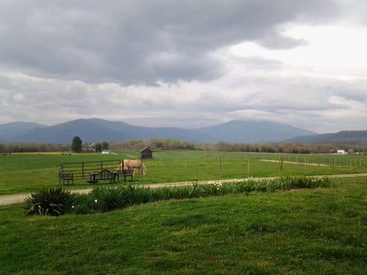 View from the front porch.