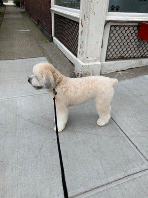 Happy Tails Grooming Salon