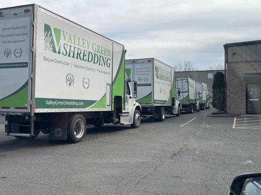 Five of our "ladies" set out to get a well deserved bath to look sharp for this weeks client services!