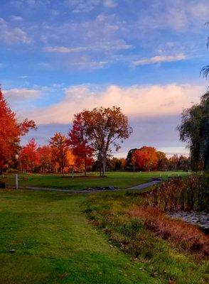 The fall foliage on the course