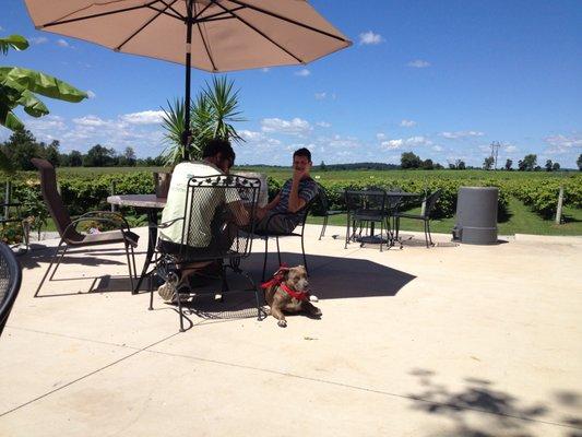 Tasting Patio with Lola May (One of our beautiful winery dogs)