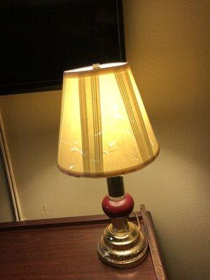 Disgusting lamp shade