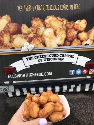 Fried cheese curds- yum