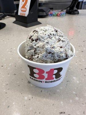 Free scoop of mint chocolate chip for my birthday girl 8/2/2024.