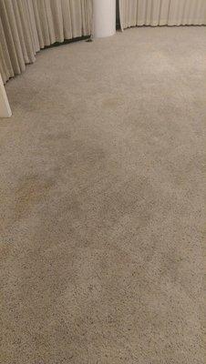 Horrible carpet cleaning job by A1spotless