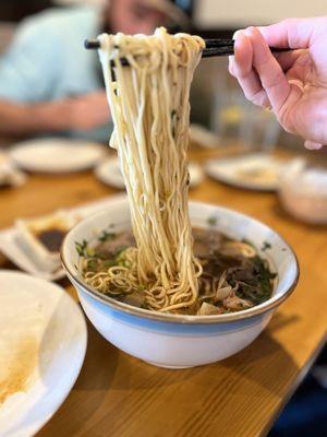 Beef Noodle bowl