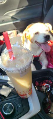 Passion fruit milk tea with mixed jelly and popping mango boba + a little Sunshine  in the background