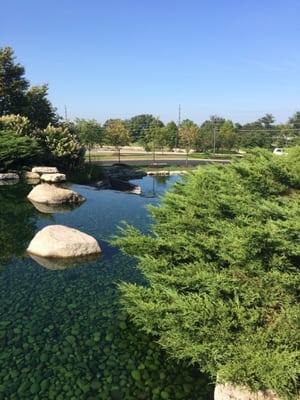 Hidden pool area above the falls at Midwest Retina on Taylor Station Rd. Nice place to just sit and relax.