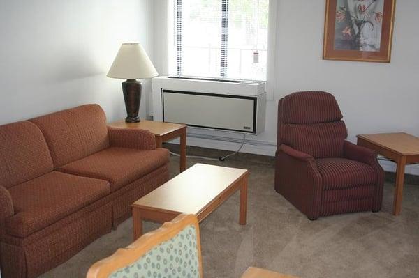 Spacious living room with sleeper/sofa.