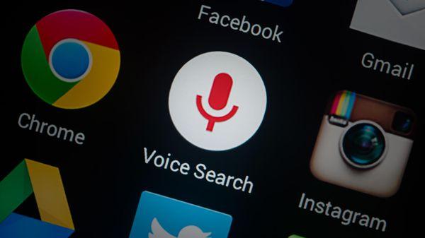 Voice Search services image from Local Siren