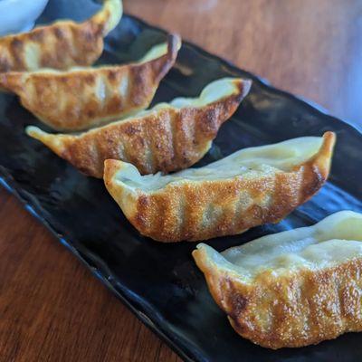 Pan-Fried Gyoza