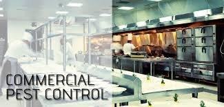 Commercial Services for insects/Rodent Control