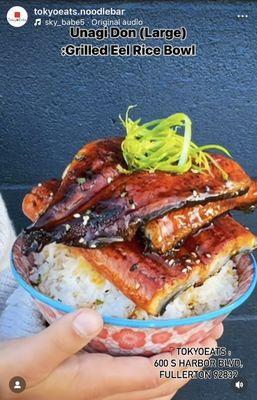 Eel (Unagi) Don