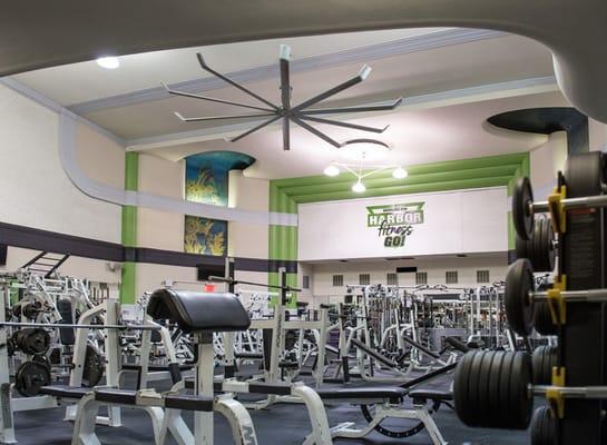 Ample weight and strength training equipment on our spacious gym floor!