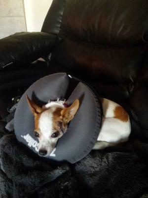 Princess on her way to recovery