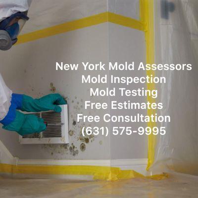 New York Mold Assessors Services