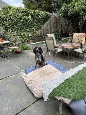 King of the bed mountain