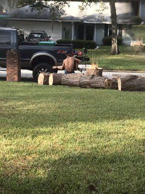 You guessed it.. the singing climber resting after chopping two oversized pines