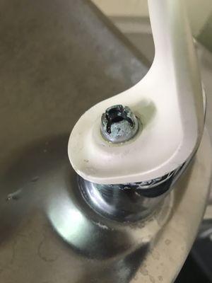 Nasty water fountain