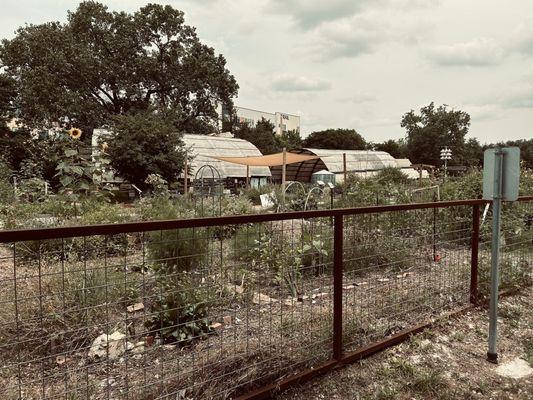 Community gardens next to bike path