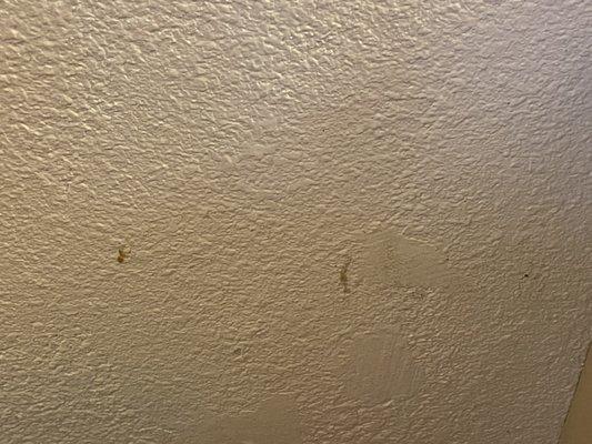 Spots on the wall