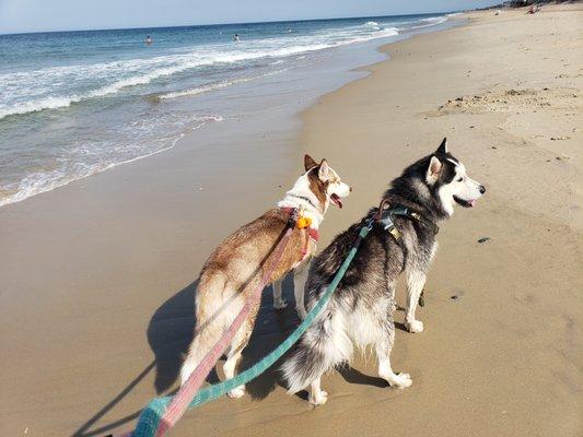 Outer Banks N.C.