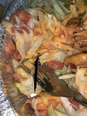 A taco salad with a BUG!