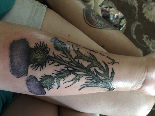 Thistles by Courtney...she rocks!