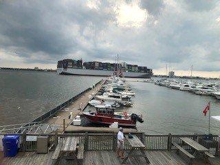 Busy Marina and ship traffic on Cooper River