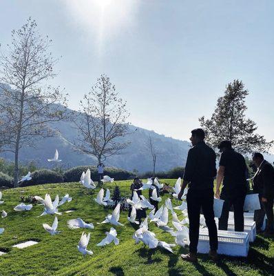 This was a white doves release at one of our services.
 Este fue un lanzamiento de palomas blancas en uno de nuestros servicios.