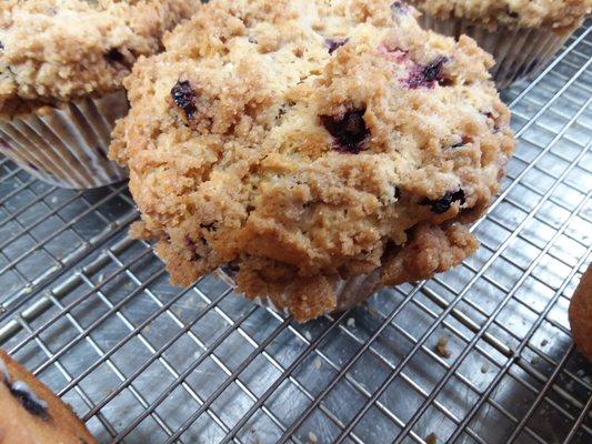 Huckleberry muffin