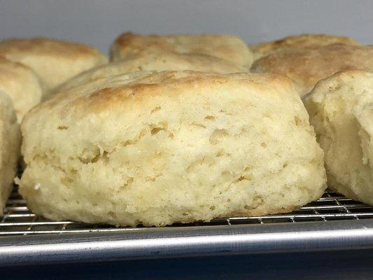 Nothing plain about our plain biscuits