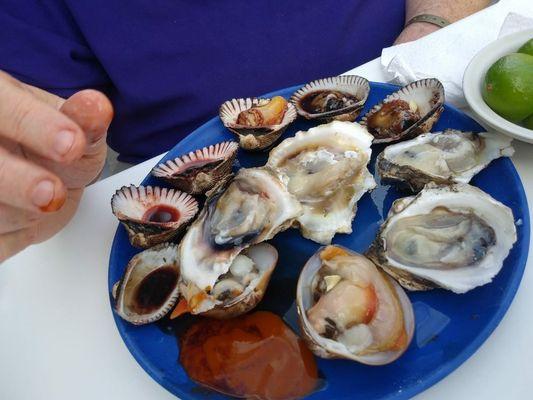 Oysters and clams!