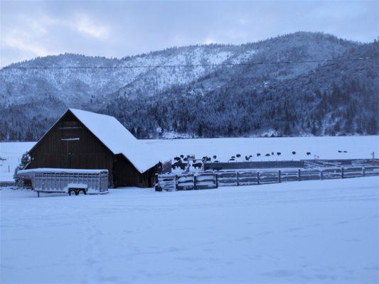 Being so remote sure gives us some beautiful, quiet mornings, especially in the winter.