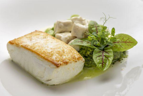 Halibut