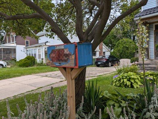 Little Free Diverse Library,  163 Wellington St, St Thomas