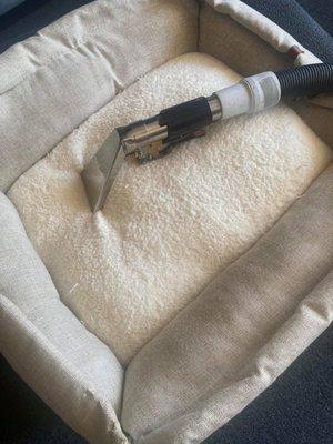 We clean pet beds too!