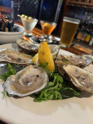 Fresh oysters