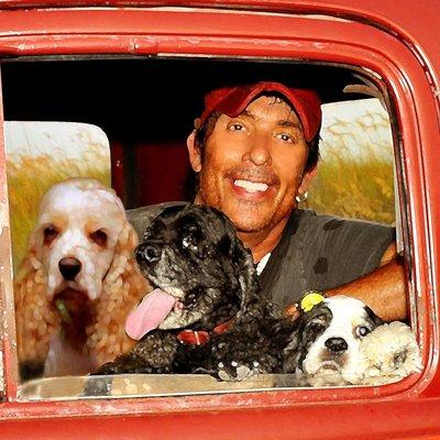 The Sign Man shop owner Steve Jameson with puppies.